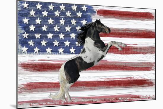 Stars, Stripes And Stallions-Mark Chandon-Mounted Giclee Print