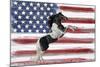 Stars, Stripes And Stallions-Mark Chandon-Mounted Giclee Print