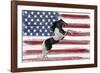 Stars, Stripes And Stallions-Mark Chandon-Framed Giclee Print