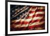 Stars & Stripes Forever-null-Framed Premium Giclee Print