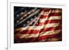 Stars & Stripes Forever-null-Framed Premium Giclee Print