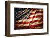 Stars & Stripes Forever-null-Framed Art Print