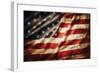 Stars & Stripes Forever-null-Framed Art Print