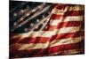 Stars & Stripes Forever-null-Mounted Art Print