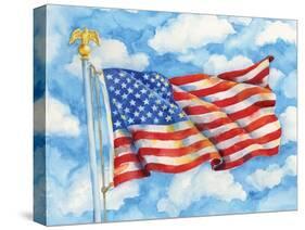 Stars & Stripes Forever-Paul Brent-Stretched Canvas
