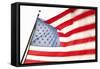 Stars & Stripes II-Karyn Millet-Framed Stretched Canvas