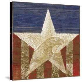 Stars&Stripes-Alan Hopfensperger-Stretched Canvas