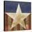 Stars&Stripes-Alan Hopfensperger-Stretched Canvas