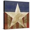 Stars&Stripes-Alan Hopfensperger-Stretched Canvas