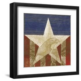 Stars&Stripes-Alan Hopfensperger-Framed Art Print