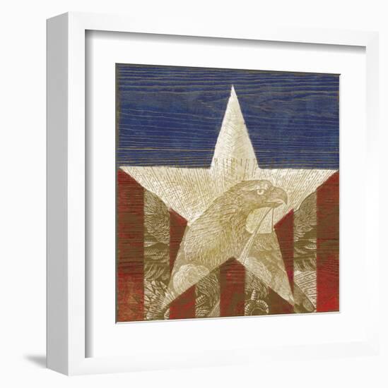 Stars&Stripes-Alan Hopfensperger-Framed Art Print