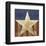 Stars&Stripes-Alan Hopfensperger-Framed Art Print