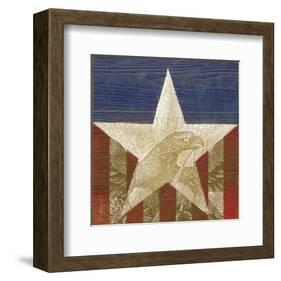 Stars&Stripes-Alan Hopfensperger-Framed Art Print