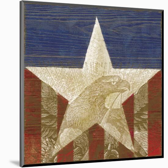 Stars&Stripes-Alan Hopfensperger-Mounted Art Print