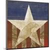 Stars&Stripes-Alan Hopfensperger-Mounted Art Print