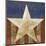 Stars&Stripes-Alan Hopfensperger-Mounted Art Print