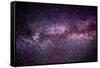 Stars Tonight-Douglas Taylor-Framed Stretched Canvas