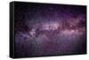 Stars Tonight-Douglas Taylor-Framed Stretched Canvas