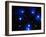 Stars-Terry Why-Framed Photographic Print