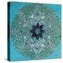 Starshine Mandala IV-Candra Boggs-Stretched Canvas