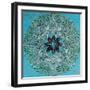 Starshine Mandala IV-Candra Boggs-Framed Art Print