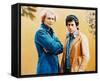 Starsky and Hutch (1975)-null-Framed Stretched Canvas