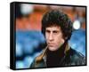 Starsky and Hutch (1975)-null-Framed Stretched Canvas