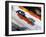 Start of a 4-Man Bobsled Team in Action, Torino, Italy-Chris Trotman-Framed Photographic Print