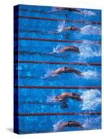 Start of a Men's Backstroke Swimming Race-Steven Sutton-Stretched Canvas