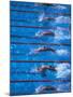 Start of a Men's Backstroke Swimming Race-Steven Sutton-Mounted Photographic Print