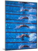 Start of a Men's Backstroke Swimming Race-Steven Sutton-Mounted Photographic Print