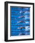 Start of a Men's Backstroke Swimming Race-Steven Sutton-Framed Photographic Print