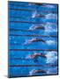 Start of a Men's Backstroke Swimming Race-Steven Sutton-Mounted Photographic Print