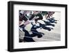 Start of a Sprint-soupstock-Framed Photographic Print