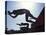 Start of Men's Swim Race, Santa Clara , California, USA-Steven Sutton-Stretched Canvas