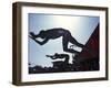 Start of Men's Swim Race, Santa Clara , California, USA-Steven Sutton-Framed Photographic Print