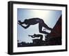 Start of Men's Swim Race, Santa Clara , California, USA-Steven Sutton-Framed Photographic Print