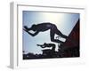 Start of Men's Swim Race, Santa Clara , California, USA-Steven Sutton-Framed Photographic Print