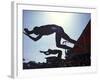 Start of Men's Swim Race, Santa Clara , California, USA-Steven Sutton-Framed Photographic Print