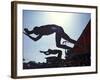 Start of Men's Swim Race, Santa Clara , California, USA-Steven Sutton-Framed Photographic Print