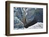 Start of Sesriem Canyon-Grobler du Preez-Framed Photographic Print
