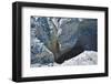 Start of Sesriem Canyon-Grobler du Preez-Framed Photographic Print