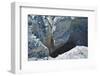 Start of Sesriem Canyon-Grobler du Preez-Framed Photographic Print