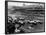 Start of the British Grand Prix, Aintree, Liverpool, 1955-null-Framed Photographic Print