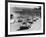 Start of the Le Mans 24 Hours, France, 1964-null-Framed Photographic Print