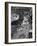 Start of the Monaco Grand Prix, 1964-null-Framed Photographic Print