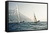 Start of the yachting regatta Centomiglia in 2012 in front of the harbour of Bogliaco, Lake Garda, -Rasmus Kaessmann-Framed Stretched Canvas