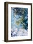 Start of Winter-Ursula Abresch-Framed Photographic Print