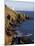 Start Point, Devon, England, United Kingdom, Europe-Jeremy Lightfoot-Mounted Photographic Print