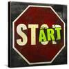 Start-Daniel Bombardier-Stretched Canvas